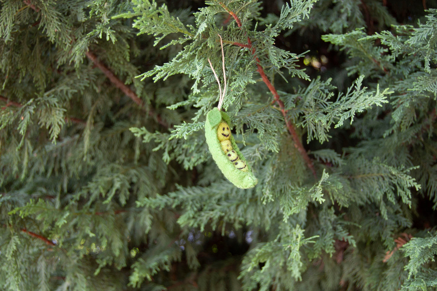Peas in a Pod Felted Ornament-ORNAMENT-ZWEIBIE