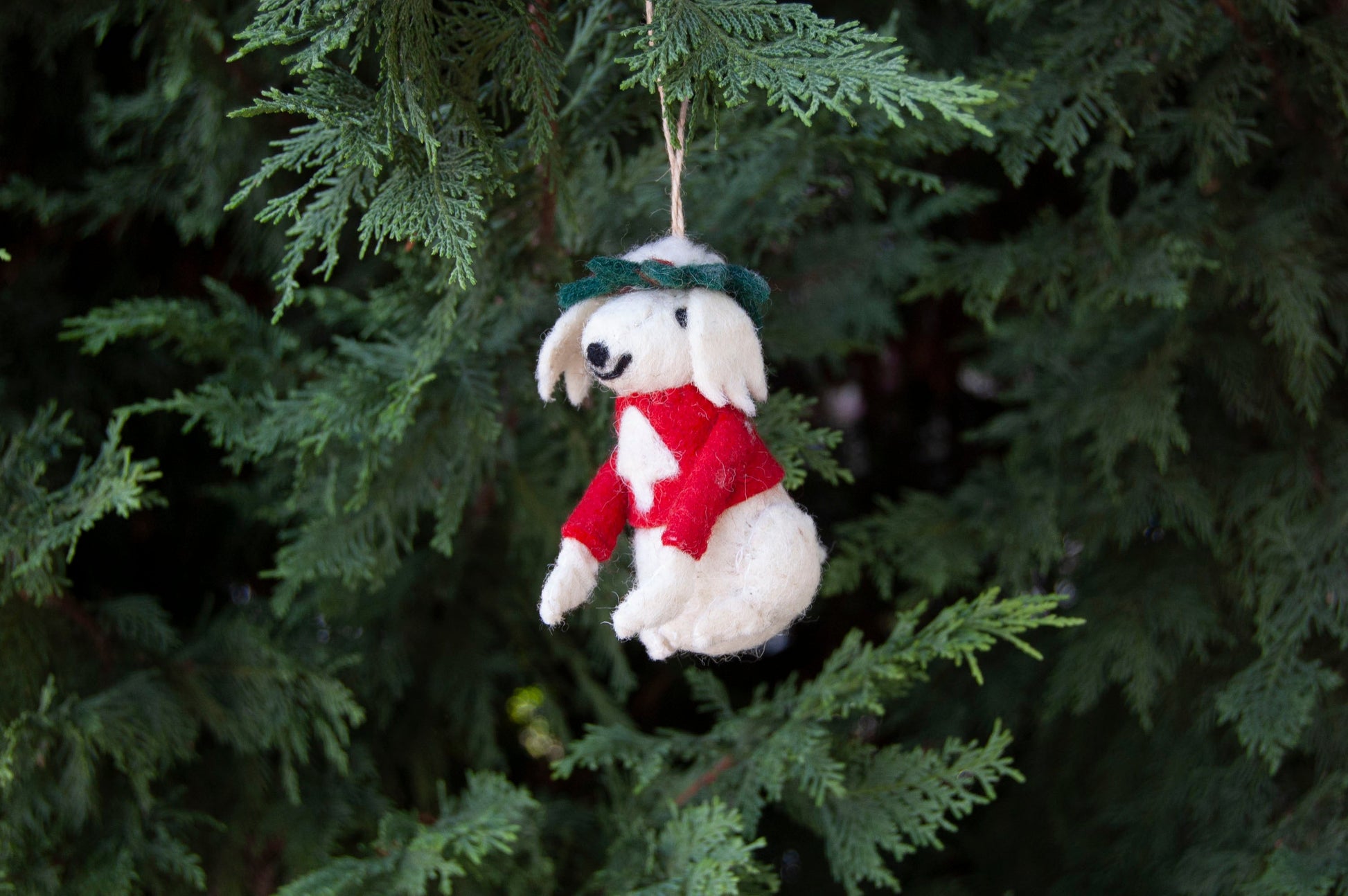 White poodle ornament in a red sweater hanging from a Christmas tree  - ZWEIBIE